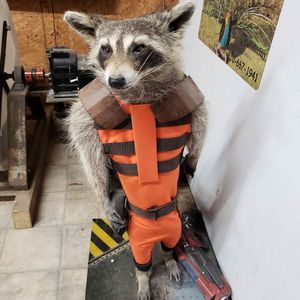 Meet your Posher, Brett